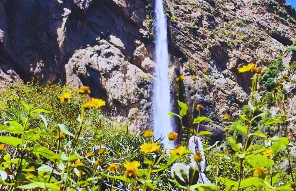 Full Day Catarata Huachac y Piscina Natural La Calichera foto 4