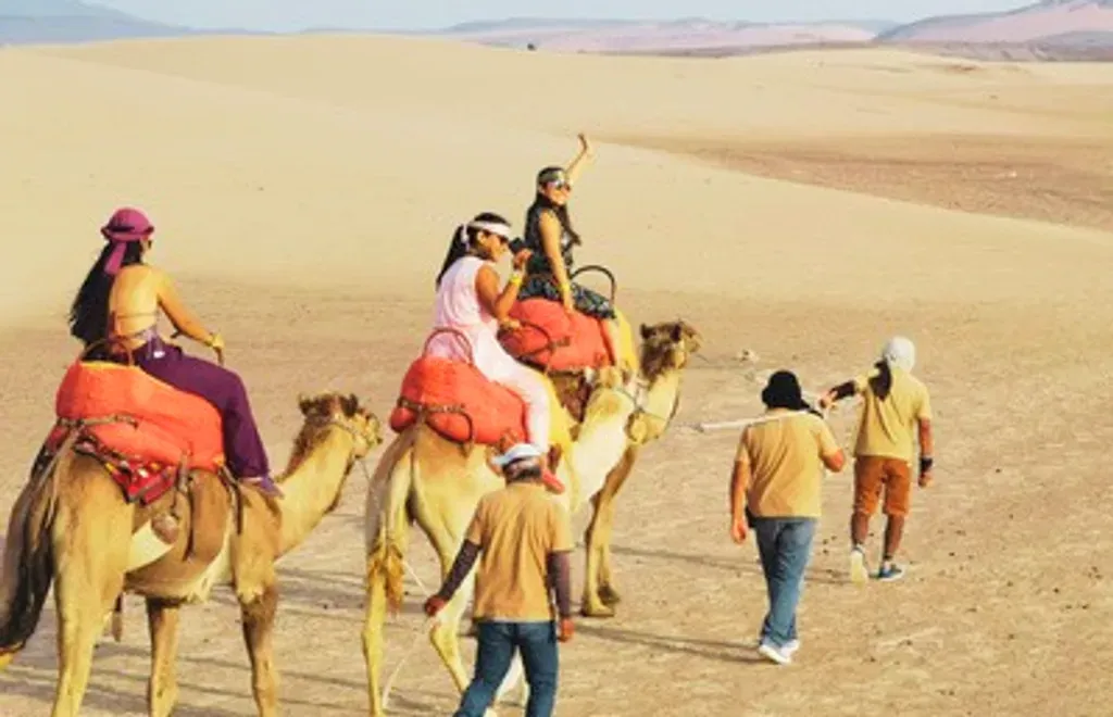 Full Day Dromedarius + Ica: Paseo en Camello y Huacachina foto 3