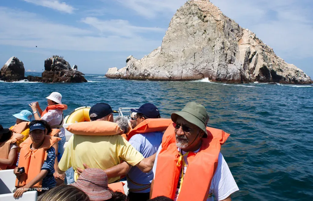 Full Day Islas Palomino: Paseo en Yate y Nado con Lobos Marinos foto 5