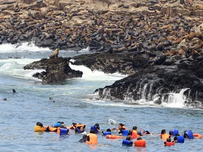 Full Day Islas Palomino: Paseo en Yate y Nado con Lobos Marinos