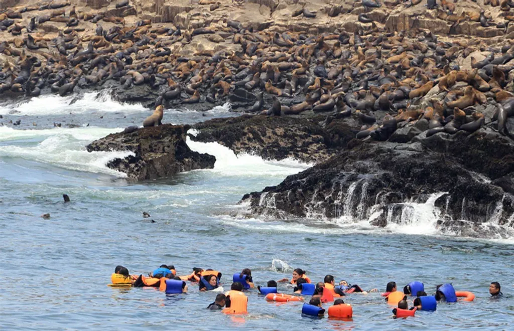 Islas Ballestas