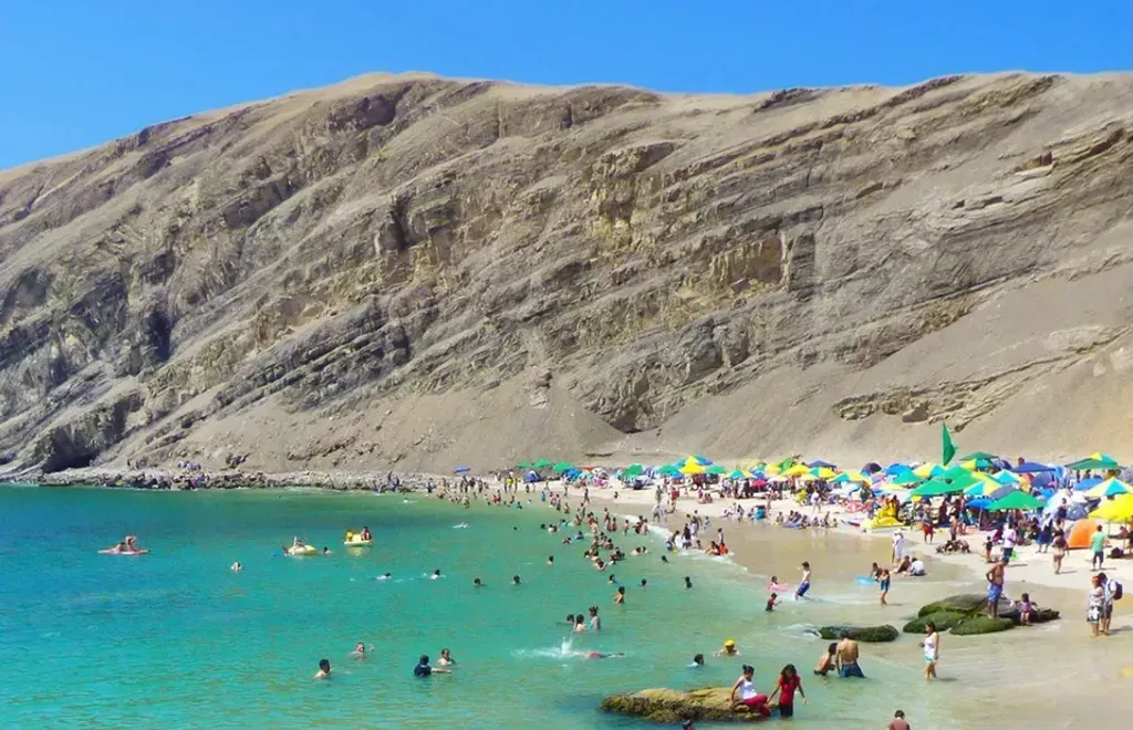 Full Day Playa La Mina, Paracas y YakuPark foto 2