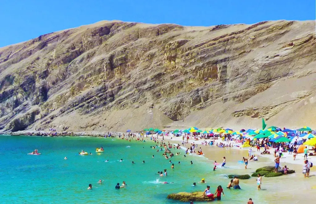 Full Day Playa La Mina, Paracas y YakuPark foto 5