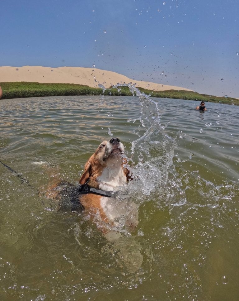 Oasis de Moron y Huacachina