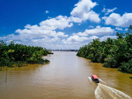 Amazonas en año nuevo