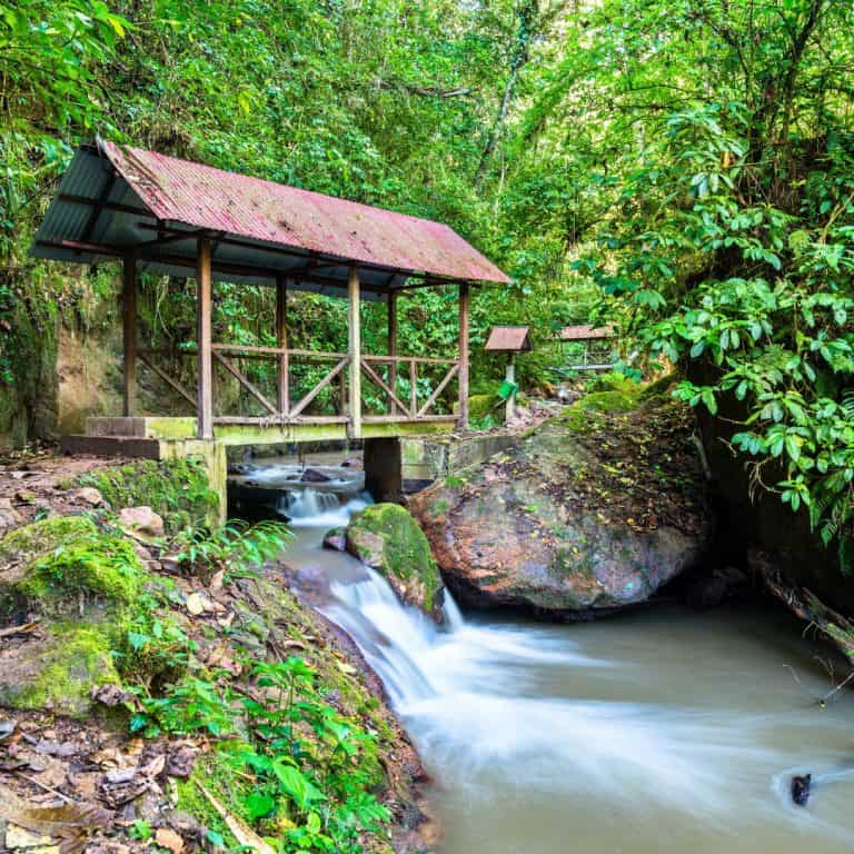 Año Nuevo: Selva Central, 2 días y 1 noche